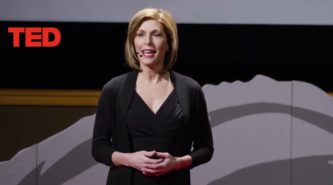 TED Talk: Astroturf and manipulation of media messages | Sharyl Attkisson